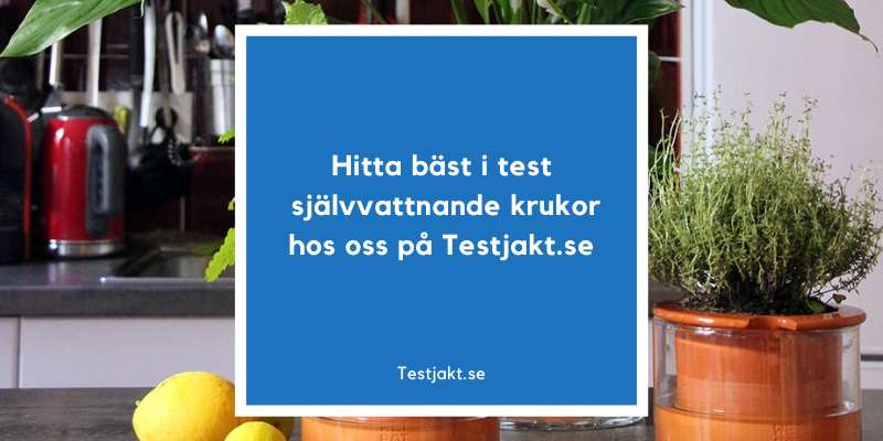 Hitta bäst i test självvattnande krukor hos oss på Testjakt.se!