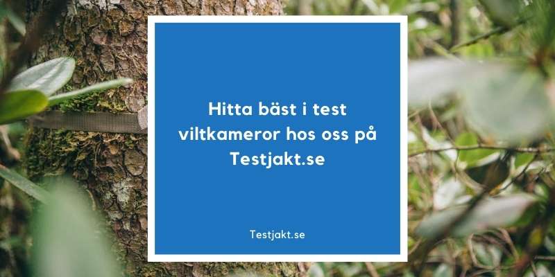 Hitta bäst i test viltkameror hos oss på Testjakt.se!